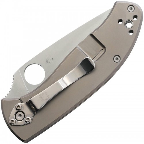 Spyderco Tenacious Folding Knife - 3.35" 8Cr13MoV Stainless Steel Blade Gray Titanium Handle
