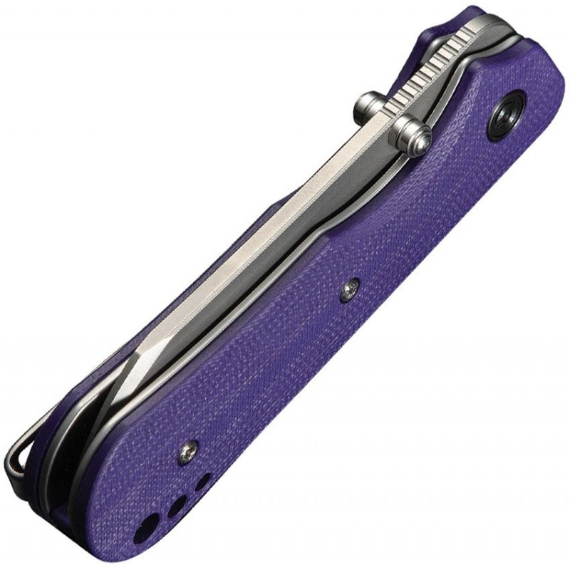 CIVIVI Knives Crabby Folding Knife - 2.7" 14C28N Stonewashed Sheepsfoot Blade Purple G10 Handle