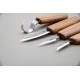 BeaverCraft S09 - 5 Piece Spoon and Wood Carving Set