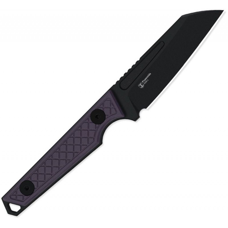 Kizer Phasmids Fixed Blade Knife - 2.8" AEB-L Black Sheepsfoot Blade Machined Purple G10 Handle
