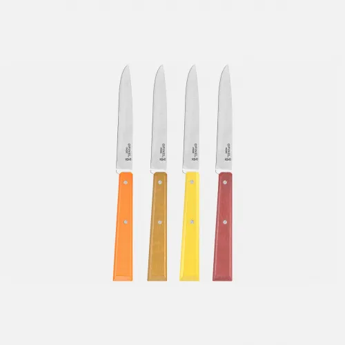 Opinel Bon Appetit Citrus Table Knife Set 