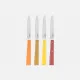 Opinel Bon Appetit Citrus Table Knife Set  Cyclaire Knives and Tools