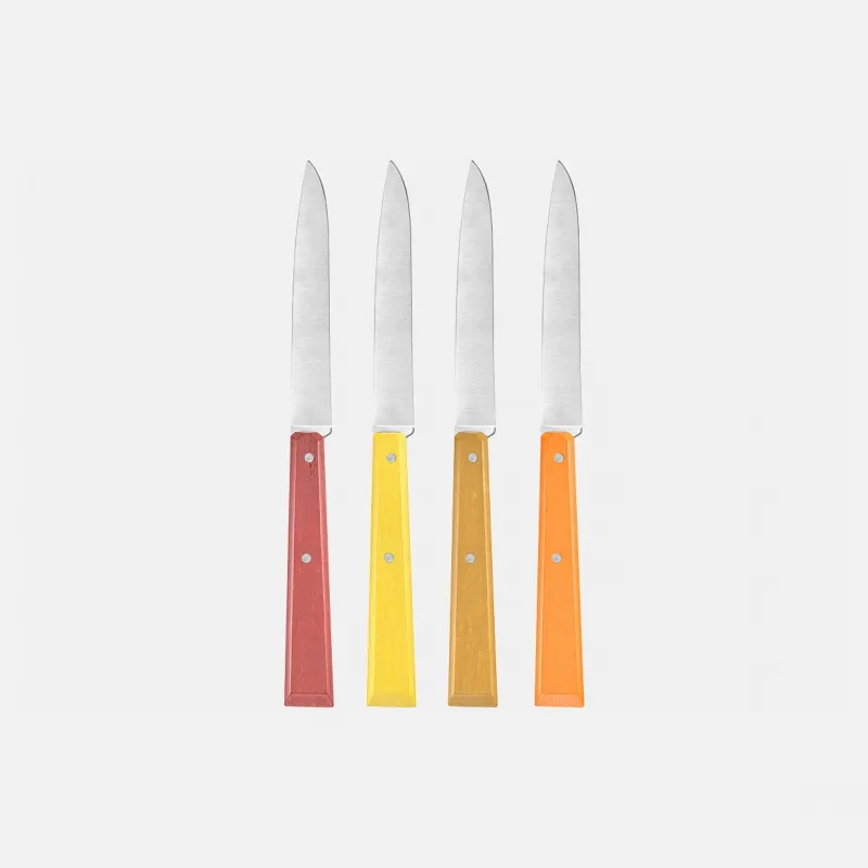 Opinel Bon Appetit Citrus Table Knife Set  Cyclaire Knives and Tools