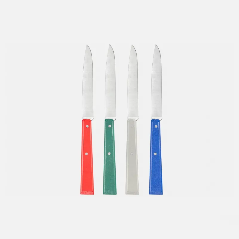 Opinel Bon Appetit Bistro Table Knife Set  Cyclaire Knives and Tools