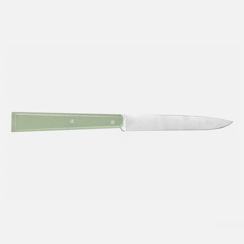 Opinel Bon Appetit Sage Table Knife Set  Cyclaire Knives and Tools