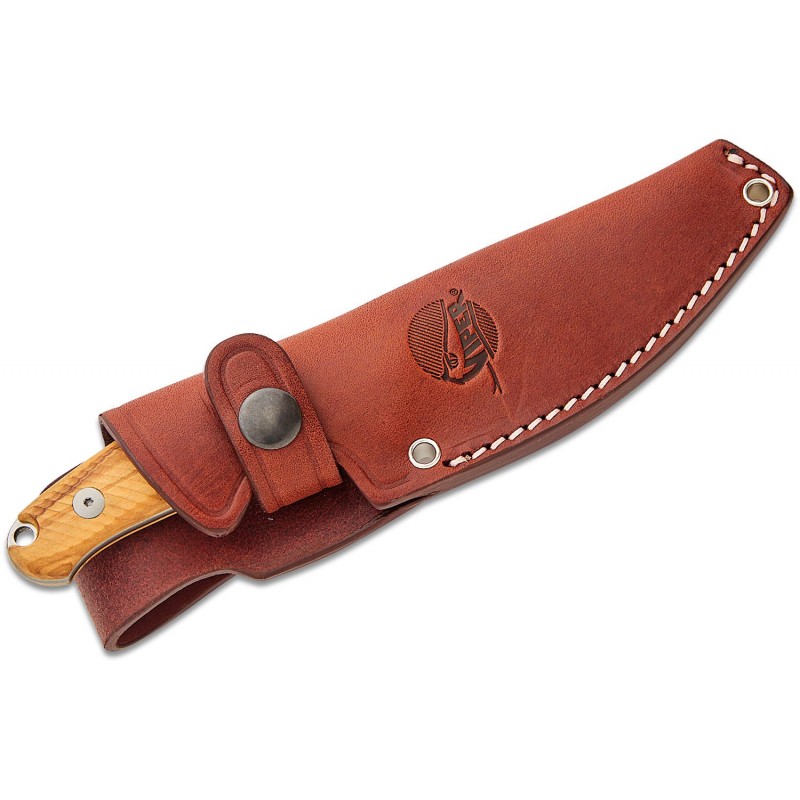 Viper Nordlys Fixed Blade Knife - 3.75" Bohler N690 Blade Olive Wood Handle