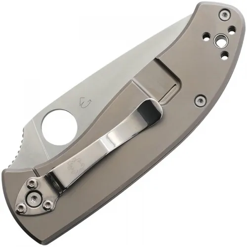 Spyderco Tenacious Folding Knife - 3.35" 8Cr13MoV Stainless Steel Blade Gray Titanium Handle