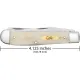 Case Trapper UK EDC Smooth Natural Folding Knife - Dual Blade Natural Smooth Bone Handle Cyclaire Knives and Tools