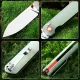 HX Outdoors Hyla Button Lock Pocket Knife - 2.91" 14C28N Blade Natural Green Handle Cyclaire Knives and Tools