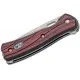 Buck Vantage Avid Small Folding Knife Rosewood Dymondwood Handle Cyclaire Knives and Tools