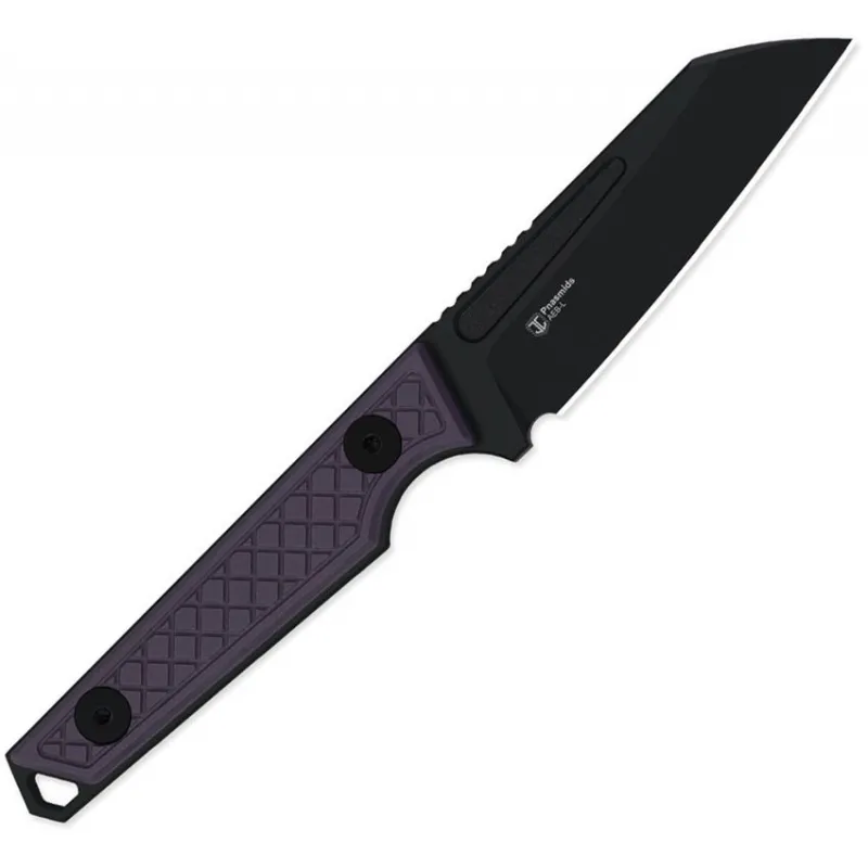Kizer Phasmids Fixed Blade Knife - 2.8" AEB-L Black Sheepsfoot Blade Machined Purple G10 Handle Cyclaire Knives and Tools