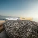 Opinel No.8 Folding Pocket Knife - 3.34" Stainless Steel Blade Beechwood Handle Cyclaire Knives and Tools