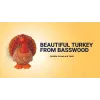 Carving A Turkey with Beavercraft